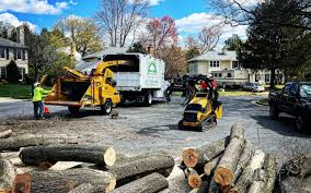 Best Commercial Tree Services  in Middleburg, FL